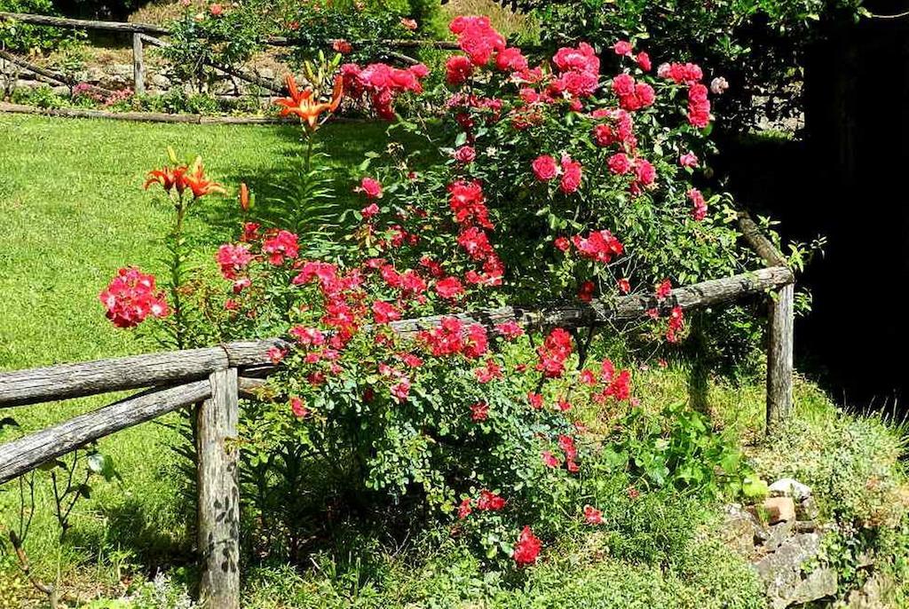 B&B Il Casale Delle Pianacce Castiglione di Garfagnana Luaran gambar