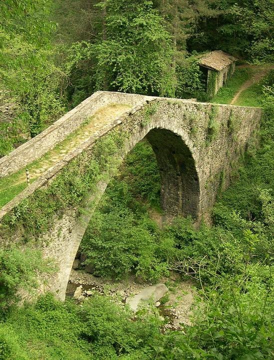 B&B Il Casale Delle Pianacce Castiglione di Garfagnana Luaran gambar