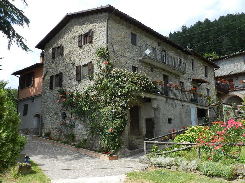 B&B Il Casale Delle Pianacce Castiglione di Garfagnana Luaran gambar