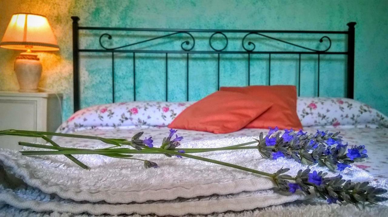 B&B Il Casale Delle Pianacce Castiglione di Garfagnana Luaran gambar