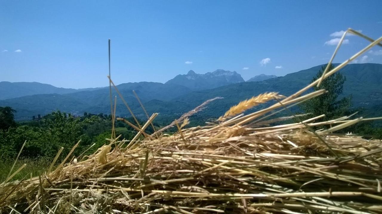 B&B Il Casale Delle Pianacce Castiglione di Garfagnana Luaran gambar